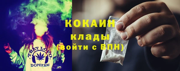 дурь Карпинск