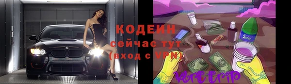 дурь Карпинск
