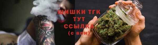 дурь Карпинск